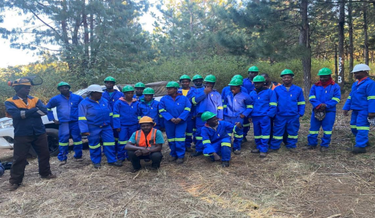 Professional forestry team gathered for safety briefing, showcasing our experienced workforce and commitment to safety standards
